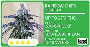 Ultimate Guide to Cannabis Seeds Utah Grow Your Own Greenery Ultimate Guide to Cannabis Seeds Utah Grow Your Own Greenery
