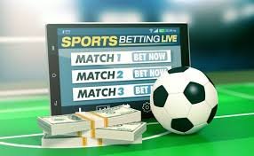 1xBet The Ultimate Destination for Betting Enthusiasts 1xBet The Ultimate Destination for Betting Enthusiasts