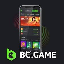 BC.Game Casino en Argentina Una Opción entre la Diversidad de Casinos Online BC.Game Casino en Argentina Una Opción entre la Diversidad de Casinos Online