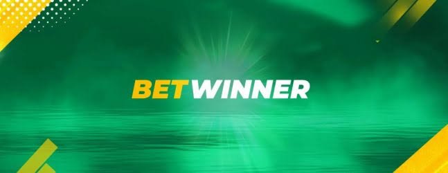 Comprehensive Overview of BetWinner Casino 799341755 Comprehensive Overview of BetWinner Casino 799341755